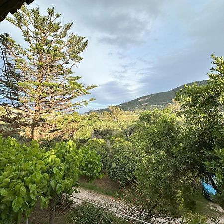 קרי Villa Theodora מראה חיצוני תמונה