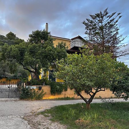 קרי Villa Theodora מראה חיצוני תמונה