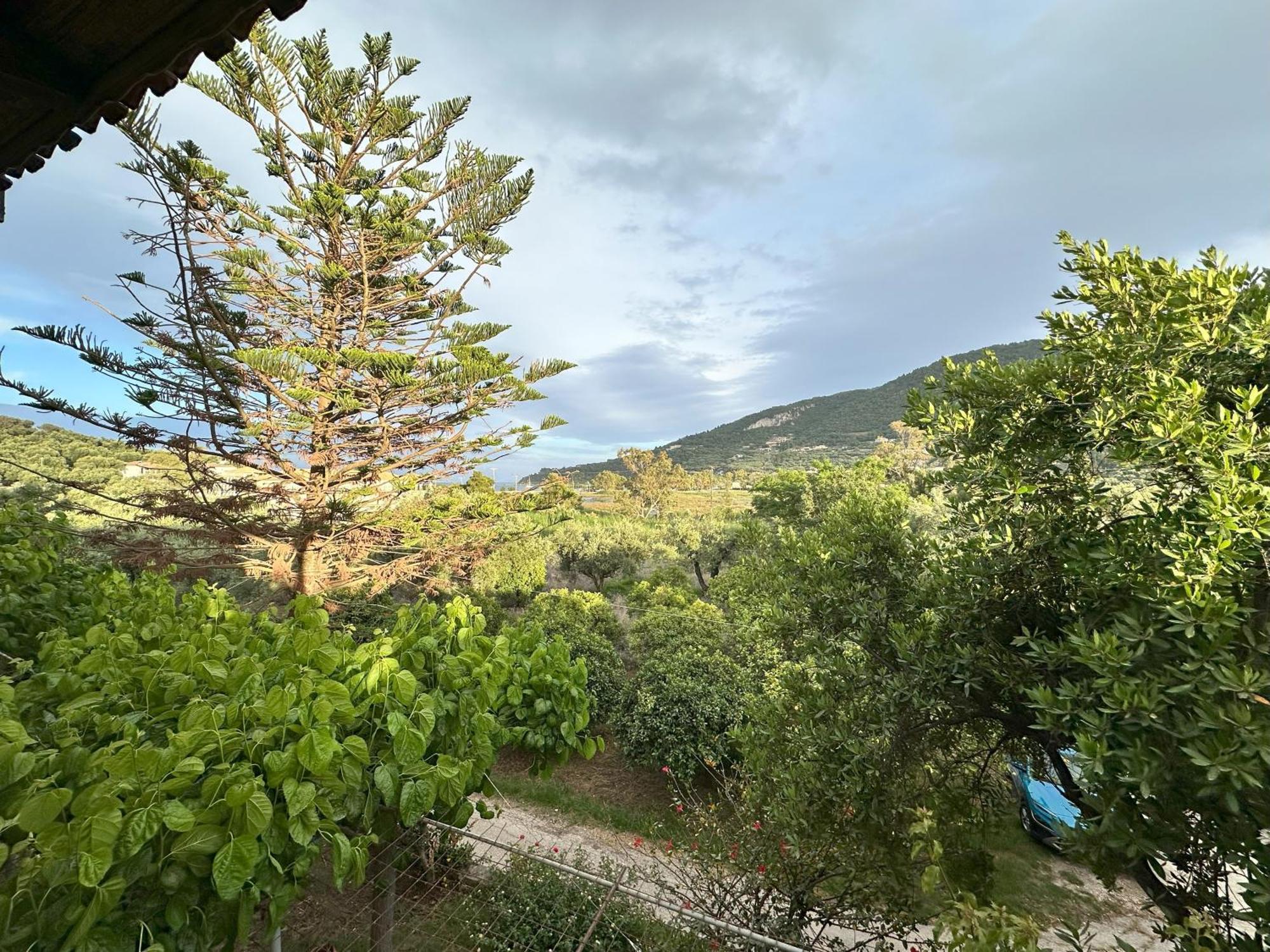 קרי Villa Theodora מראה חיצוני תמונה