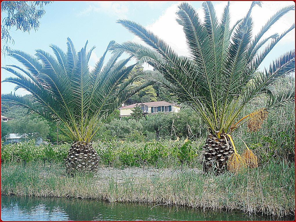 קרי Villa Theodora מראה חיצוני תמונה